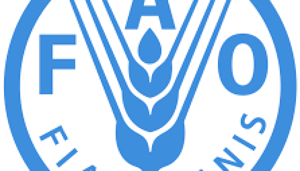 Territorial Administrative Assistant Vacancy-Job Ref: BJGTFAO/3006/2025826